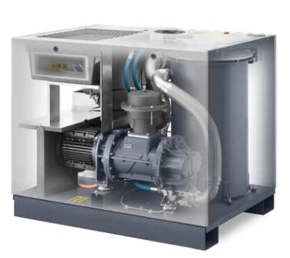 變速驅(qū)動(dòng)油潤(rùn)滑螺桿式真空泵